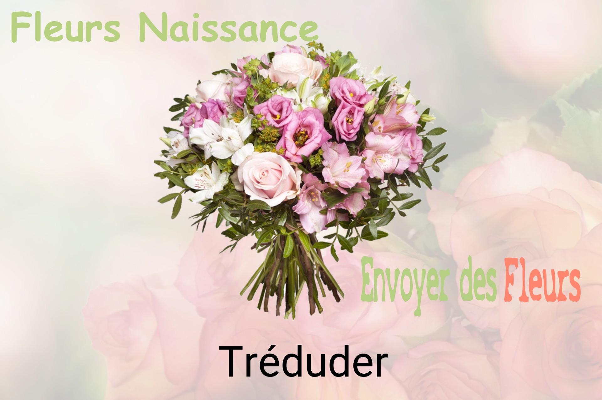 Bouquet de fleurs de naissance livré à Tréduder
