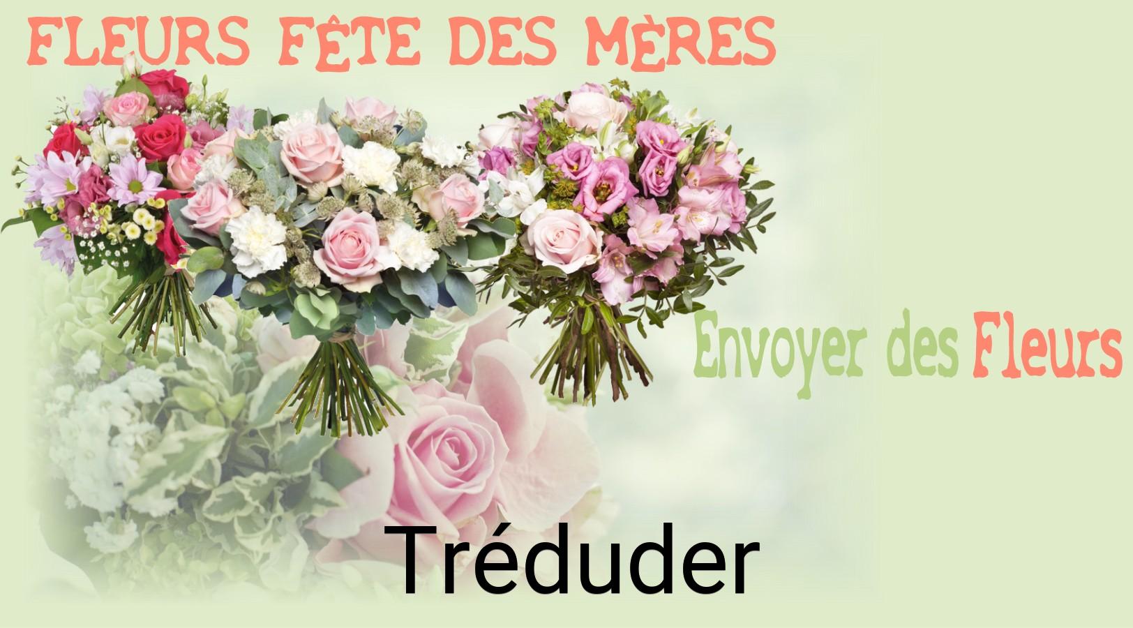 Bouquet de Fête des Mères livré à Tréduder